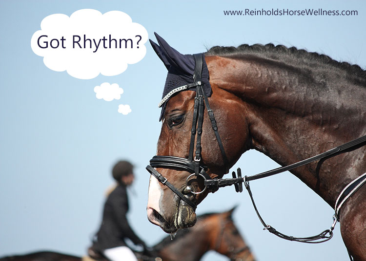 dressage horse asking got rhythm